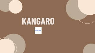 Kangaro Heavy Duty Staplers – Best in Class for Tough Jobs