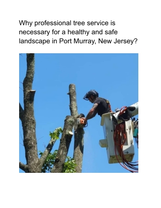 Why professional tree service is necessary for a healthy and safe landscape in Port Murray, New Jersey