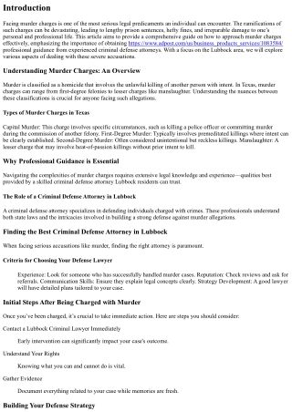 How to Approach Murder Charges with Professional Guidance