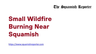Small Wildfire Burning Near Squamish - www.squamishreporter.com