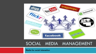 social media management