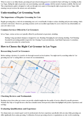 How to Choose the Right Cat Groomer in Las Vegas
