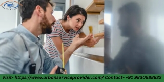 Fast & Efficient Fridge Repair by Experts