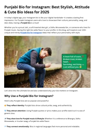 Punjabi Bio for Instagram