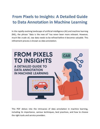 From Pixels to Insights: A Detailed Guide to Data Annotation in Machine Learning