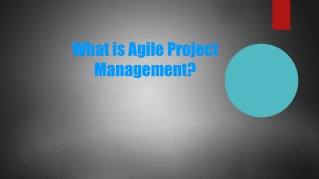 What is Agile Project Management?