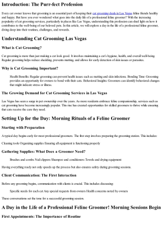 A Day in the Life of a Professional Feline Groomer!