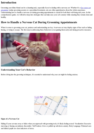How to Handle a Nervous Cat During Grooming Appointments