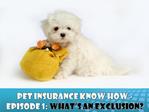 Pet Insurance Know How - Episode 1 What’s an exclusion
