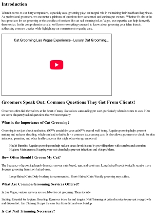 Groomers Speak Out: Common Questions They Get From Clients!
