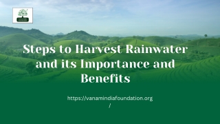 Steps to Harvest Rainwater and its Importance and Benefits