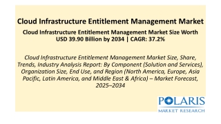 Cloud Infrastructure Entitlement Management Market