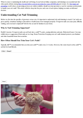 Groomers vs Vets: Who Should Handle Your Cat's Nails?