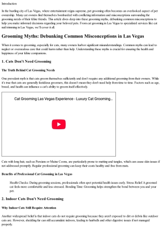 Grooming Myths: Debunking Common Misconceptions in Las Vegas