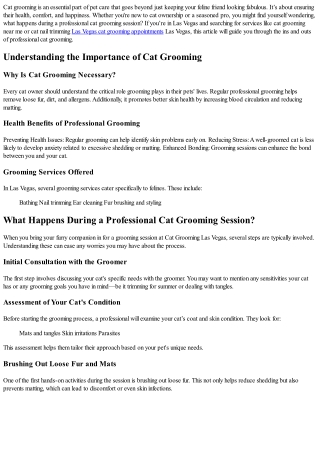 What Happens During a Professional Cat Grooming Session?