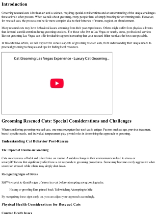 Grooming Rescued Cats: Special Considerations and Challenges