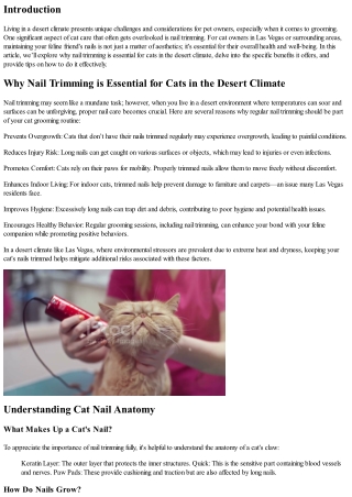 Why Nail Trimming is Essential for Cats in the Desert Climate