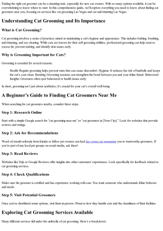 A Beginner’s Guide to Finding Cat Groomers Near Me