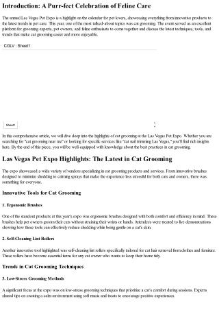Las Vegas Pet Expo Highlights: The Latest in Cat Grooming