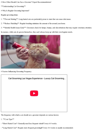 How Often Should Cats See a Groomer? Expert Recommendations!