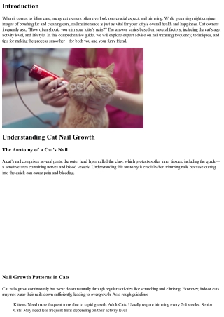 How Often Should You Trim Your Kitty’s Nails? Advice from Experts