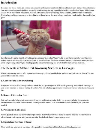 The Benefits of Mobile Cat Grooming Services in Las Vegas