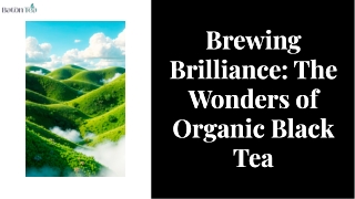 Brewing Brilliance The Wonders of Organic Black Tea