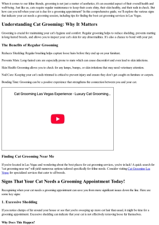 Signs That Your Cat Needs a Grooming Appointment Today!