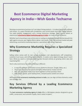 Best Ecommerce Digital Marketing Agency in India—Wish Geeks Techserve