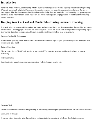Keeping Your Cat Cool and Comfortable During Summer Grooming