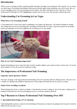 Top 5 Reasons to Choose Professional Nail Trimming Over DIY