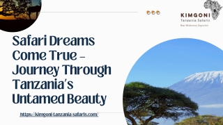 Safari Dreams Come True – Journey Through Tanzania’s Untamed Beauty