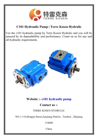 C101 Hydraulic Pump   Terre Kosen Hydrulic