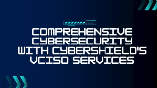 Comprehensive Cybersecurity with CyberShield's vCISO Services