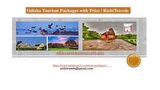 Odisha Tourism Packages with Price | RichiTravels