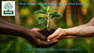 Small Change! A Bigger Impact! What is Urban Gardening and its importance