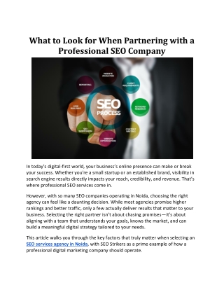 What to Look for When Partnering with a Professional SEO Company