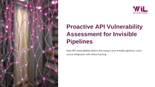Proactive-API-Vulnerability-Assessment-for-Invisible-Pipelines.