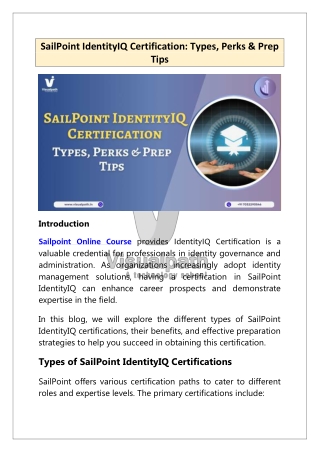 Top Sailpoint Online Course – Join Online From Anywhere