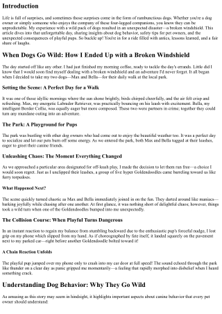 When Dogs Go Wild: How I Ended Up with a Broken Windshield
