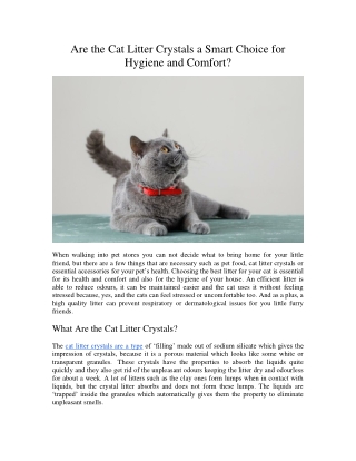 Are the Cat Litter Crystals a Smart Choice for Hygiene and Comfort?