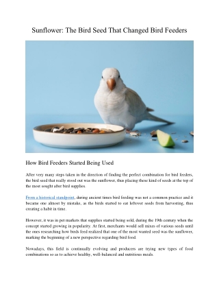 Sunflower: The Bird Seed That Changed Bird Feeders