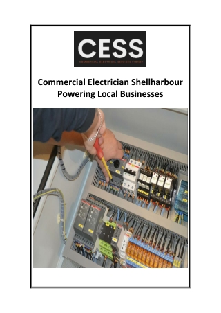 Commercial Electrician Shellharbour Powering Local Businesses