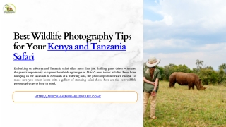 Best Time to Book Your Kenya and Tanzania Safari for the Great