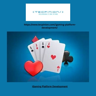 iGaming Platform Development