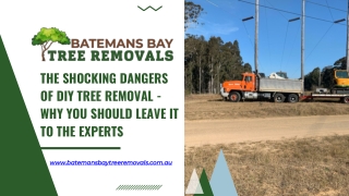 The Shocking Dangers of DIY Tree Removal - Why You Should Leave It to the Experts