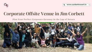 Host Your Next Corporate Offsite at a Scenic Venue in Jim Corbett