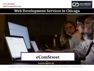 Web Development Services in Chicago