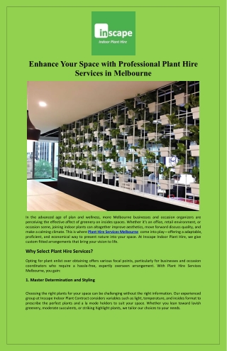 Enhance Your Space with Professional Plant Hire Services in Melbourne
