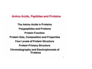 Digestion and absorption of proteins Protein enters the stomach and the low pH: